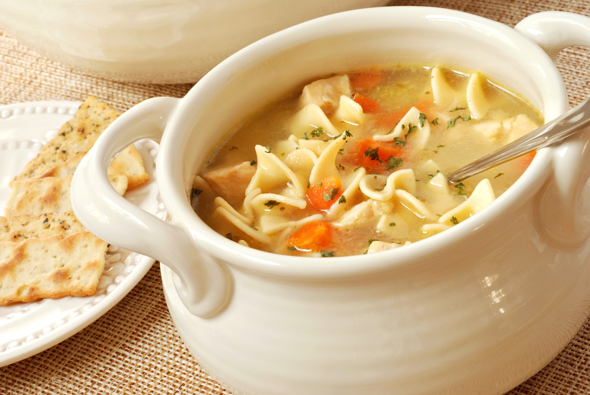 Chicken noodle soup in cream colored ceramic bowl with handles. Plate of crackers and soup tureen in background. Closeup with shallow dof.